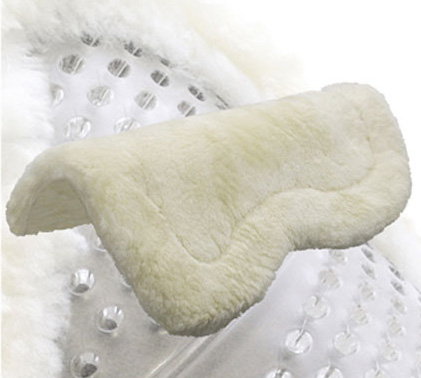 ANTISHOCK GEL +  AGNELLINO Antishock 